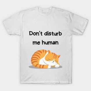 Sleeping Affirmation - Don't disturb me human | Cat Lover Gift | Law of Attraction | Positive Affirmation | Self Love T-Shirt